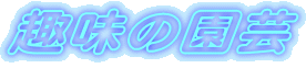 ̉|