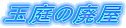 ʒ̔p